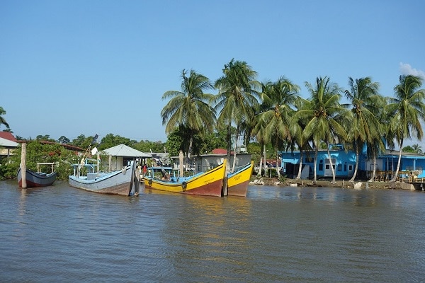 Voyager solo au Suriname