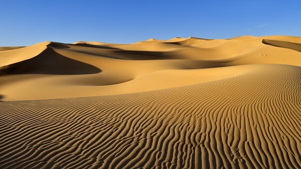 Voyager solo au Drapeau Sahara occidental