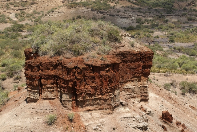 Les gorges d'Olduvai