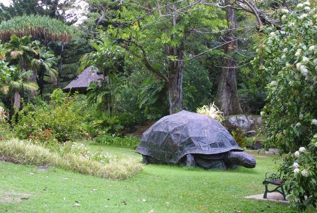 le jardin botanique des Seychelles