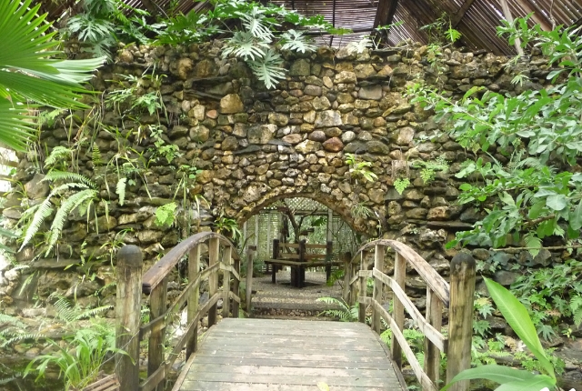  visiter les immenses jardins botaniques du Belize