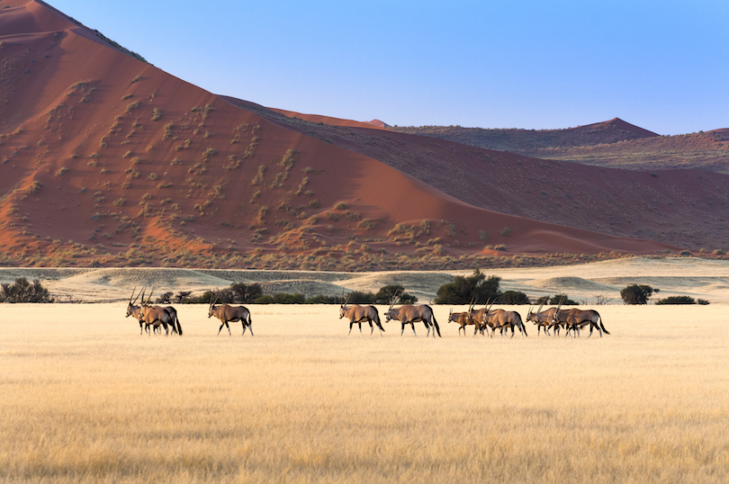 Visiter le Parc national de Namib-Naukluft