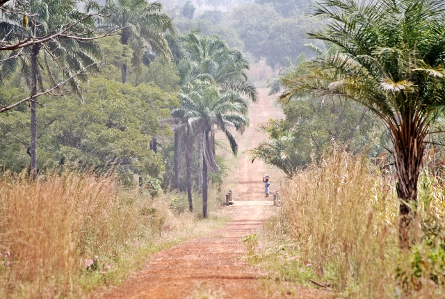 Visitez les parcs nationaux du Togo: 