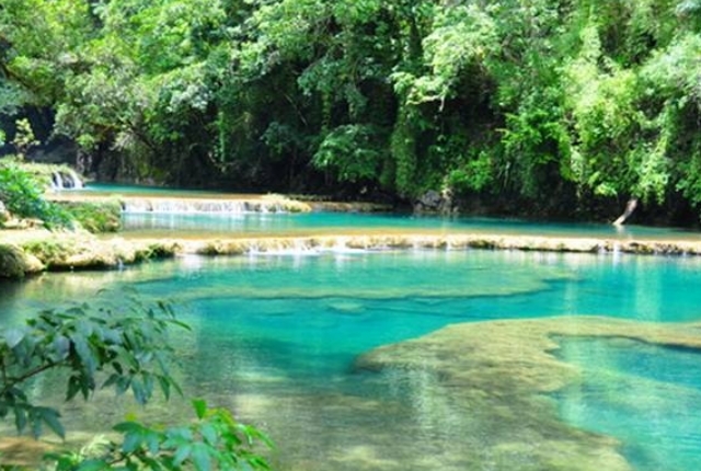 Nager dans les piscines vertes attrayantes