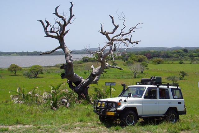Visiter La réserve spéciale de Maputo