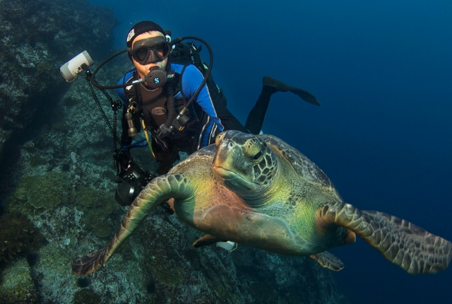 La plongée sous-marine pour voir des tortues aux Seychelles