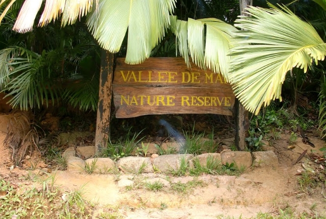 la réserve naturelle de la Vallée De Mai
