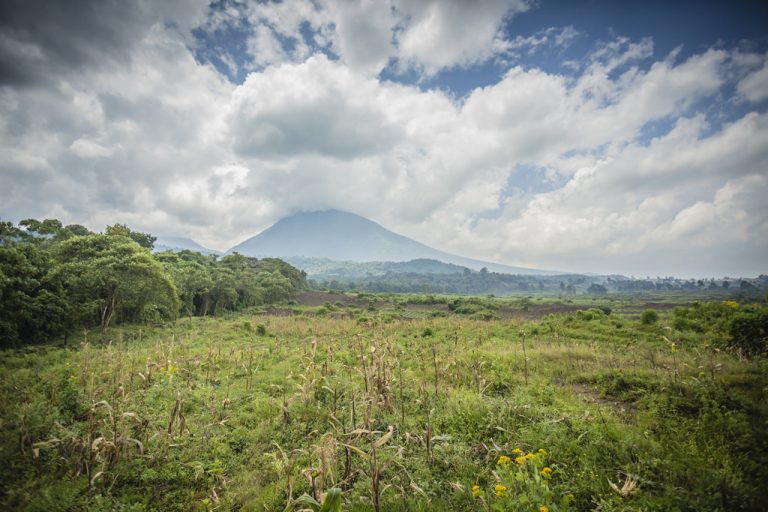 Visiter le Parc national des Virunga