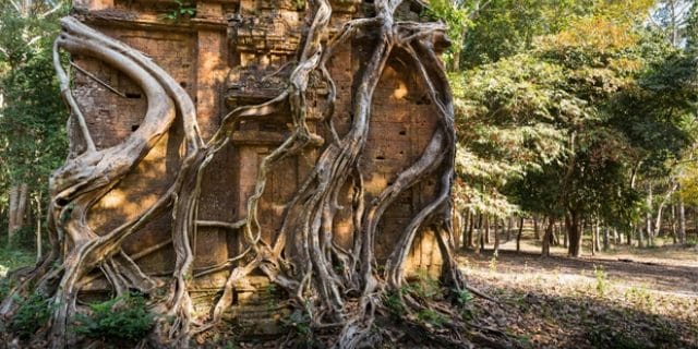 temples de Sambor Prei Kuk